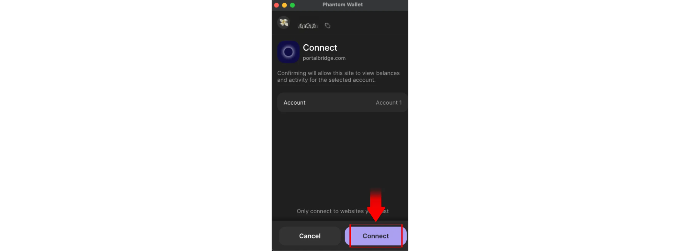 connet_wallet.webp